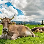 Vital Allgaeu
