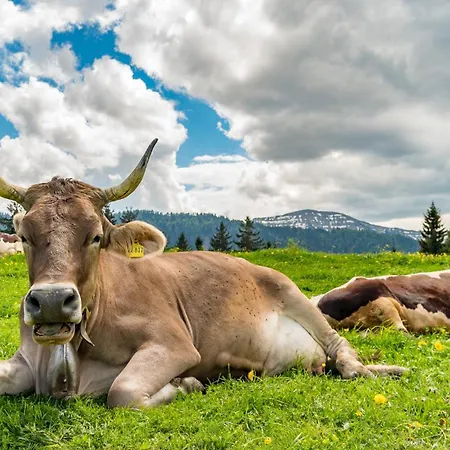 Vital Allgaeu Mit