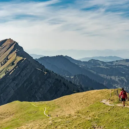 Vital Allgaeu Mit Schwimmbad, Sauna & Lejlighed