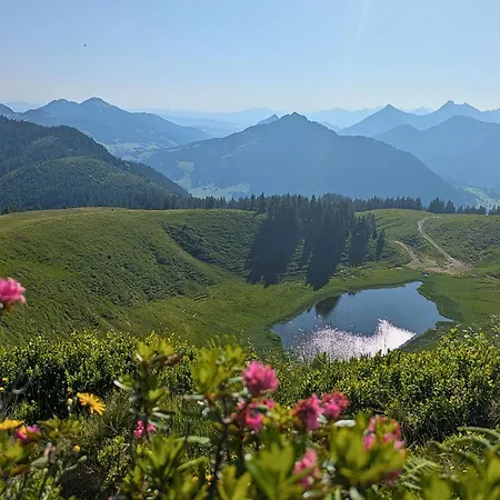 Vital Allgaeu Mit Schwimmbad, Sauna & דירה *